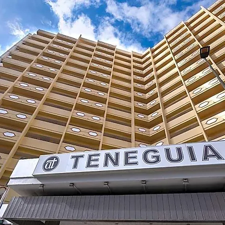 Teneguia Daire *